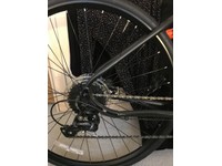 pinnacle neon 3 2019